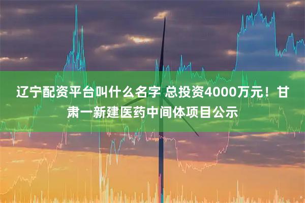 辽宁配资平台叫什么名字 总投资4000万元!甘肃一新建医药中间体项目公示