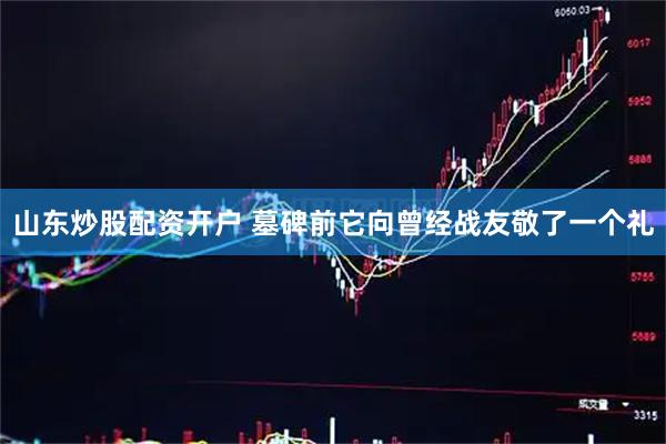 山东炒股配资开户 墓碑前它向曾经战友敬了一个礼